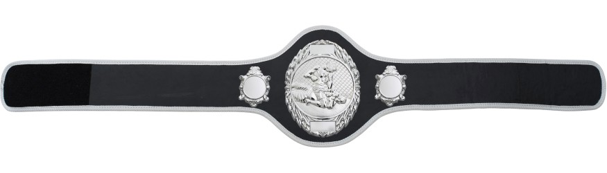 MMA CHAMPIONSHIP BELT-PRO286/S/MMAS-10+ COLOURS